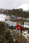 Click on thumbnail for larger photo