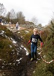 Click on thumbnail for larger photo