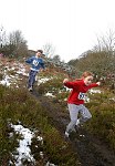 Click on thumbnail for larger photo