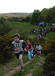 Click on thumbnail for larger photo