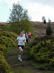 Click on thumbnail for larger photo