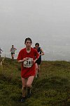 Click on thumbnail for larger photo