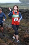 Click for Harriers photo