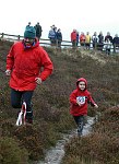 Click on thumbnail for larger photo