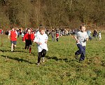 Click on thumbnail for larger photo