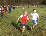 Click on thumbnail for larger photo