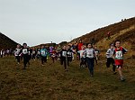 Click on thumbnail for larger photo