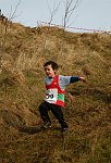 Click on thumbnail for larger photo