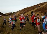 Click on thumbnail for larger photo