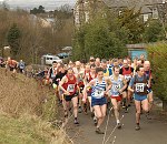 Click on thumbnail for larger photo