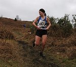 Click on thumbnail for larger photo