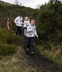 Click on thumbnail for larger photo