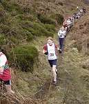 Click on thumbnail for larger photo