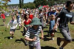 Click on thumbnail for larger photo