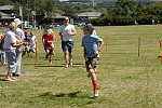 Click on thumbnail for larger photo