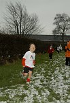 Click on thumbnail for larger photo