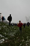 Click on thumbnail for larger photo