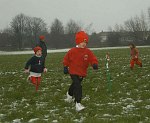 Click on thumbnail for larger photo