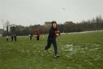 Click on thumbnail for larger photo