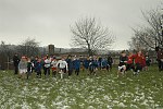 Click on thumbnail for larger photo
