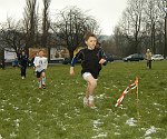 Click on thumbnail for larger photo