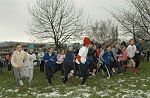 Click on thumbnail for larger photo