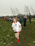 Click on thumbnail for larger photo