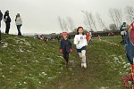 Click on thumbnail for larger photo