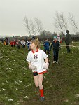 Click on thumbnail for larger photo