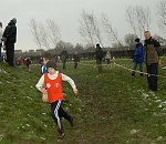 Click on thumbnail for larger photo