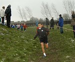 Click on thumbnail for larger photo