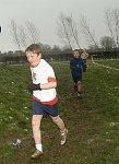 Click on thumbnail for larger photo