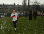 Click on thumbnail for larger photo