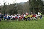 Click on thumbnail for larger photo