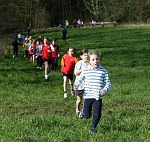 Click on thumbnail for larger photo