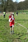 Click on thumbnail for larger photo