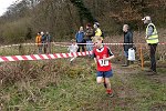 Click on thumbnail for larger photo