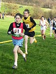 Click on thumbnail for larger photo