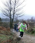 Click on thumbnail for larger photo