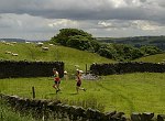 Click on thumbnail for larger photo