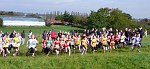 Click on thumbnail for larger photo