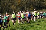 Click on thumbnail for larger photo