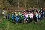 Click on thumbnail for larger photo