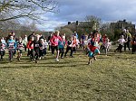 Click on thumbnail for larger photo