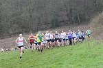 Click on thumbnail for larger photo