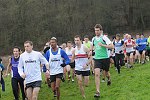 Click on thumbnail for larger photo