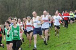 Click on thumbnail for larger photo