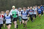 Click on thumbnail for larger photo