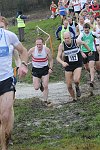 Click on thumbnail for larger photo