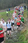 Click on thumbnail for larger photo